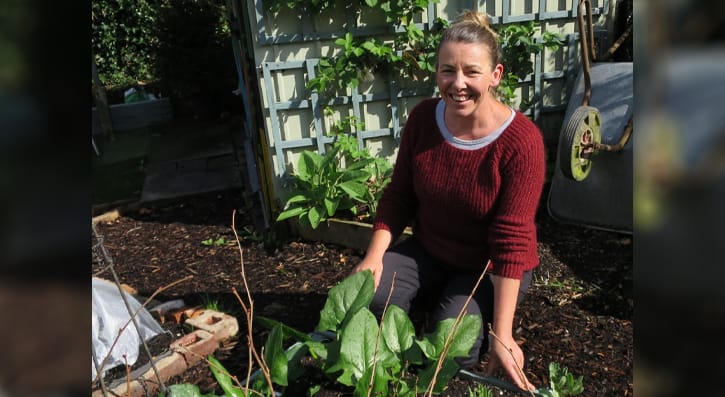 South Eastern Regional College (SERC) are hosting a webinar to introduce the range of gardening and horticulture courses available for potential students on Wednesday 24 June from 11.00am – 12.00noon